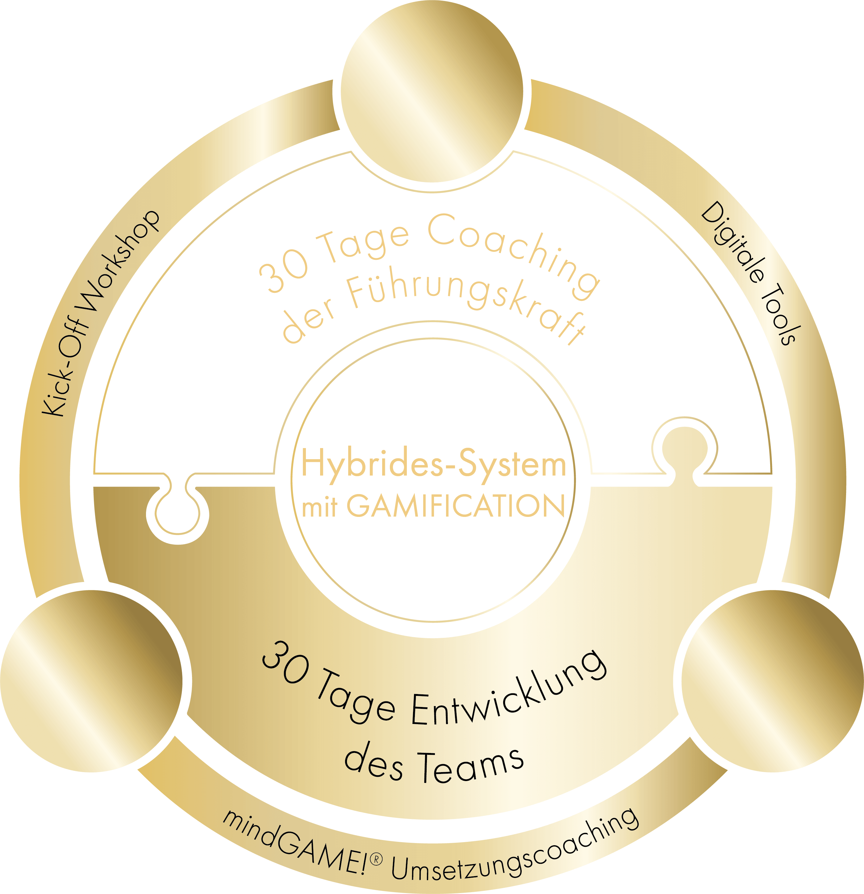 Hybrid_Infografik-FührungsPower